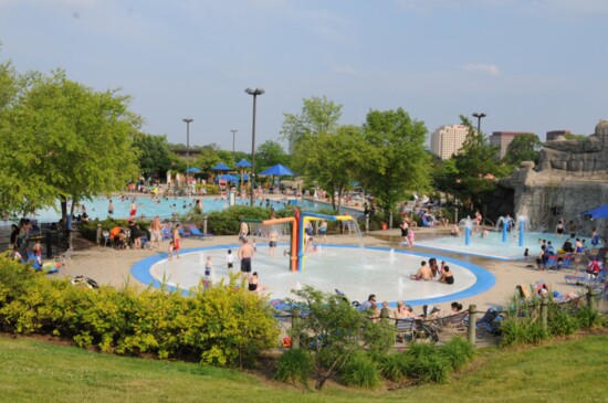 The Troy Family Aquatic Center opened during her tenure, creating new recreation amenities for Troy families.