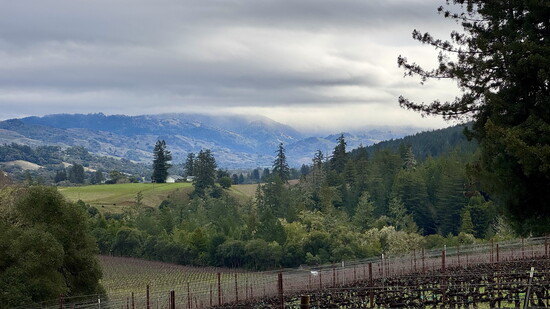 Anderson Valley