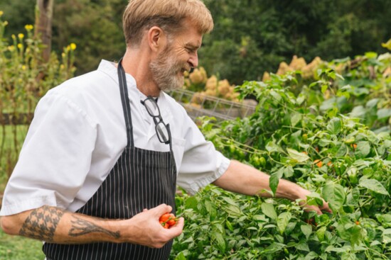 Chef Matthew Bousquet in the garden at The Clifton