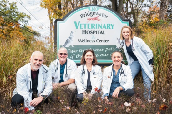 Bridgewater Veterinary Hospital