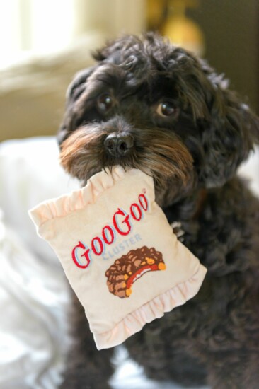 GOOGOO.COM |Goo Goo Cluster Dog Toy Plush | $20