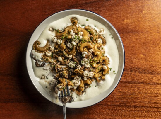 Milton's, Cresta di Gallo with roasted mushrooms, toasted yeast, pickled mushrooms, and parmesan cream. Photo by Julie Soepher