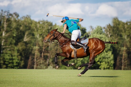 Learn Polo at Houston Polo Club. Photo by Svetlana