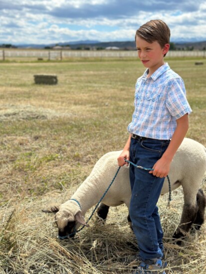 Anthony Hale and his sheep, Dill.