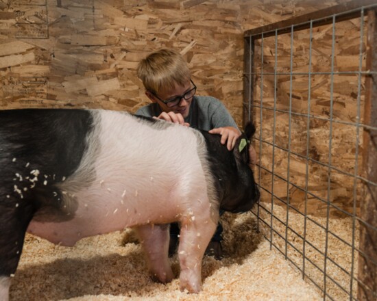 Brett Brown and his pig.