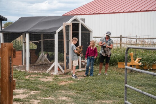 Holding chickens at the Bopp family farm.