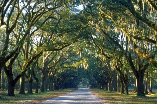 Wormsloe State Historic Site