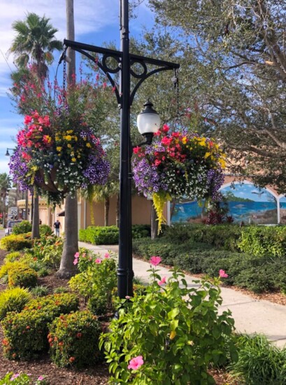 VABI's Venice In Bloom in action.