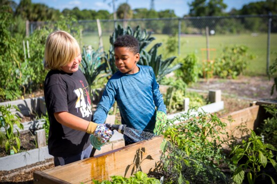 The Conservation Foundation’s initiative, Youth in Nature, at the Laurel Civic Center Garden. Photography by Kerri Gagne Photography.