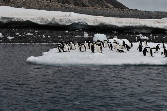 Antarctica 