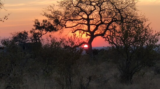 Africa