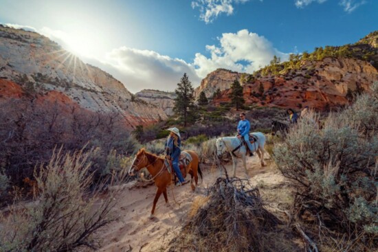 @whitemountainride in Zion Nat'l Park