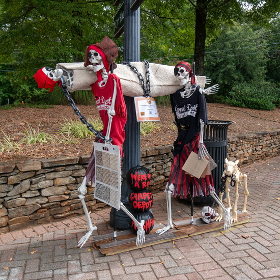 Businesses & Merchants Winner: Carpet Depot 