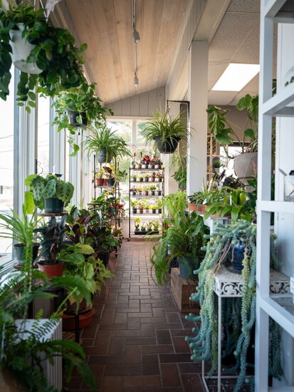 Inside Angelone's Florist