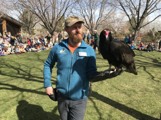 Education Coordinator Curtis Evans holds Luch the turkey vulture after finishing up a public presentation.