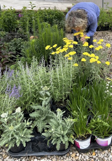 Julie enjoying the flowers