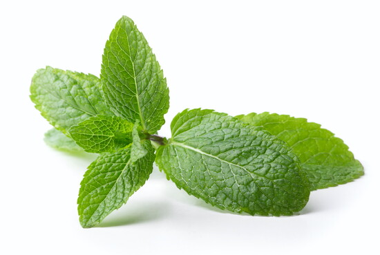 Mint.