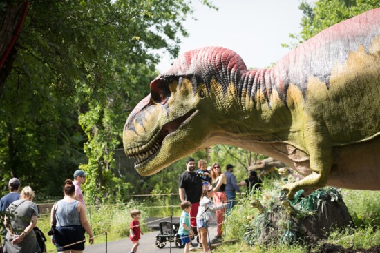 Dallas Zoo