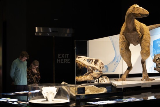 Perot Museum of Nature and Science