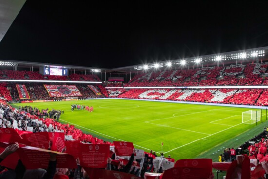 St. Louis City Soccer Fans