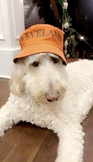 Peter Mapp's dog Bentley.