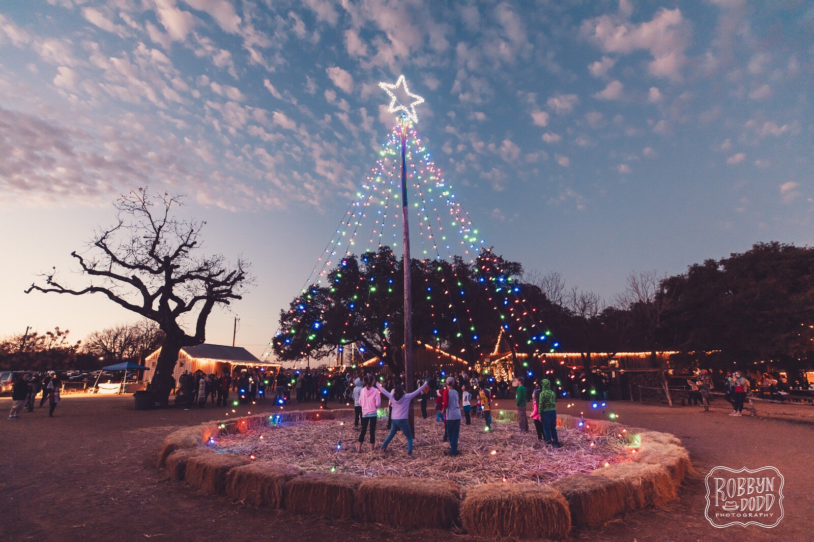 Hill Country Christmas