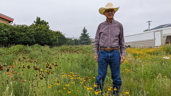 Owner of Pawnee Buttes Seed Inc., Don Hijar & his Spring Flowers