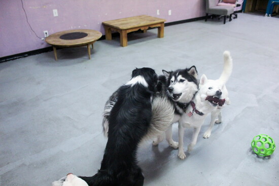 Playing with my friends. 