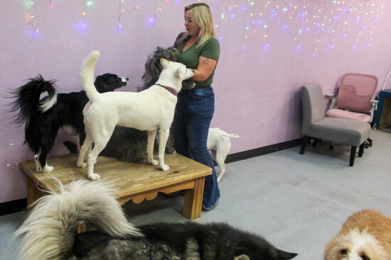 We all love when Miss Madison plays with us. 
