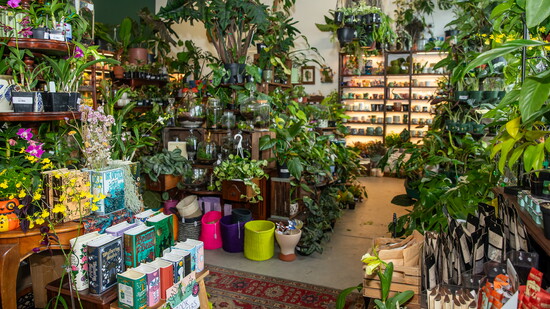 Inside shops and the Bel Air Visitors Center at the Bel Air Armory Marketplace. Photo Credit: Kerry Paradis Photography