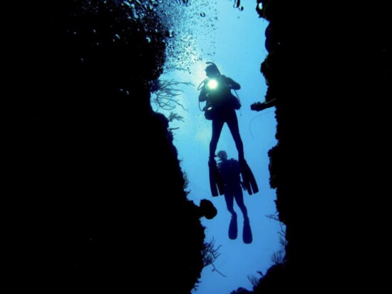 Diving a vertical wall in Little Cayman, the Caribbean