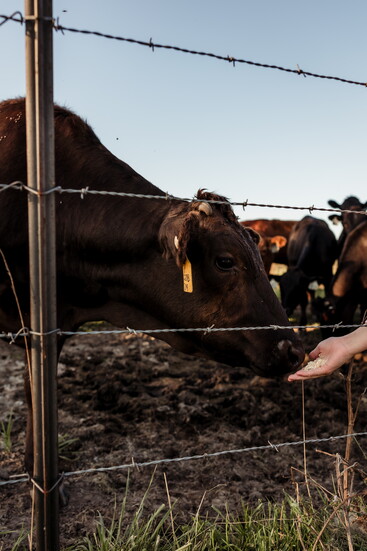 Scenes from Six Springs Farm, home of Hall of Fame Beef