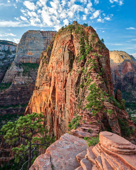 Angel's Landing in Zion National Park. Photo by Brown Dog Photograph
