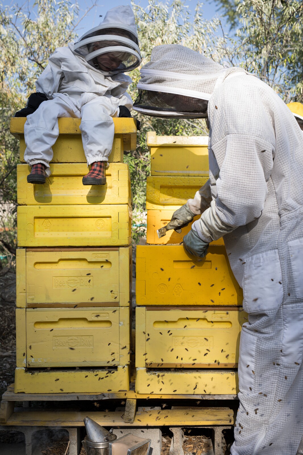 Björn's Royal Honey – Björn's Colorado Honey