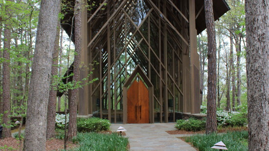 The Cathedral at Garvan Woodland Gardens.