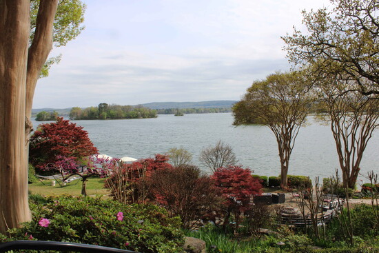 Hamilton Lake in Hot Springs, AR.