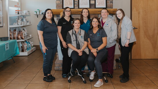 The staff at Valley View (Back row L-R) Karissa, Brittany, Payton, Kacey, and Kaitlin.) Front row (L-R) Dr. Lindsay Foster, Kelli Burgess.