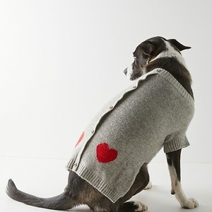 anthrodogsweater-300?v=1