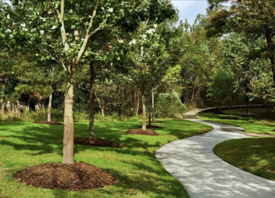 The Woodlands is known for their beautiful parks and trees. Northshore Park's tree dedication will represent the 50 years of growth.