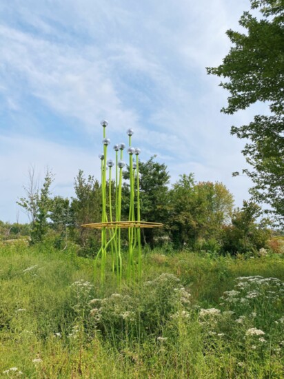 One of the six art installations at Osage Park that lights up at night. Asia Ward, Tall Grass 2021. Steel, plastic globes, and solar lights. 24 x 15 ft. 