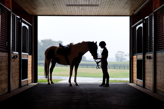 A quiet moment of connection in the world-class stables at Salamander Resort. The true heart of Middleburg hunt country.
