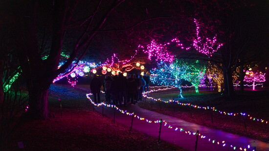 Featured image for A Holiday Tradition Aglow