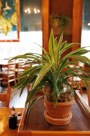 The dining room is care for by original owner Elizabeth.