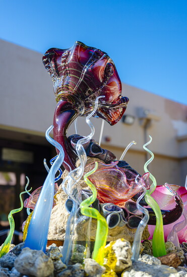 A burgundy clam emerges from the tall, rocky area after which From an Ancient Seabed is named.