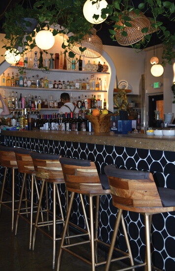 LUNA Bistro’s bar beckons with midcentury charm, craft spirits and hanging greenery—inviting guests to linger a little longer.