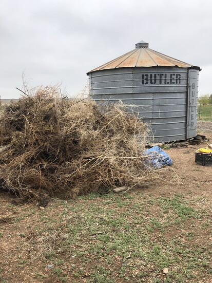 Cleaning the Historic Halfway Homestead site, with the Butler Grain Storage Bin visible in the background (May 2020).