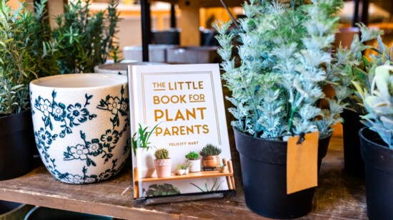 When her passion doesn't end with her children and she talks to her plants.  Plant parent book $12.99  Patterned planter $19.95  Potted artificial plant $6.95