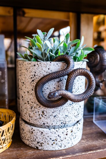 Gardening brings her joy and a visit from a garden snake symbolizes transformation and renewal.  Snake pot hanger $12.95  Speckled planter $26.95