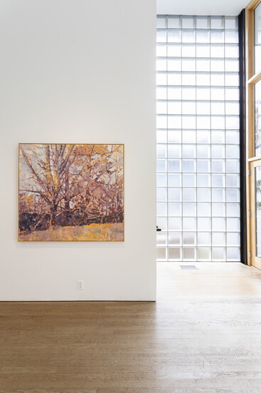 Les Yeux du Monde. Photo Credit: Stacey Evans