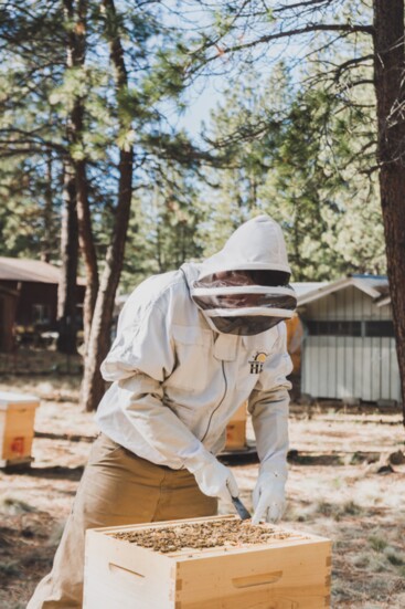 Broadus Bees' new hive installation includes helping new beekeepers determine the location for the hive and two complimentary hive inspections. 